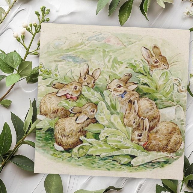 Beatrix Potter Geschichte der Flopsy Bunnies Mitteilungskarte (Von Creator hochgeladen)