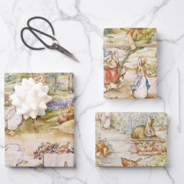 Beatrix Potter Niedlich Peter das Kaninchen und se Geschenkpapier Set