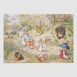 Beatrix Potter Niedlich Peter das Kaninchen und se Seidenpapier