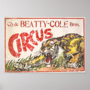 Beatty Cole Circus - 1903 - Not leidend Poster