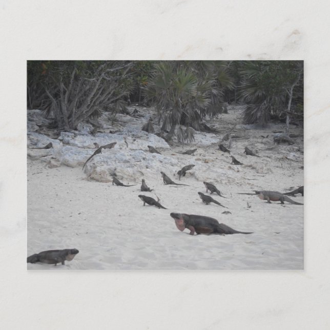 Beau Bahamas Postcard Postkarte (Vorderseite)