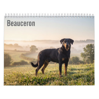 Beauceron 2027 Wandkalender
