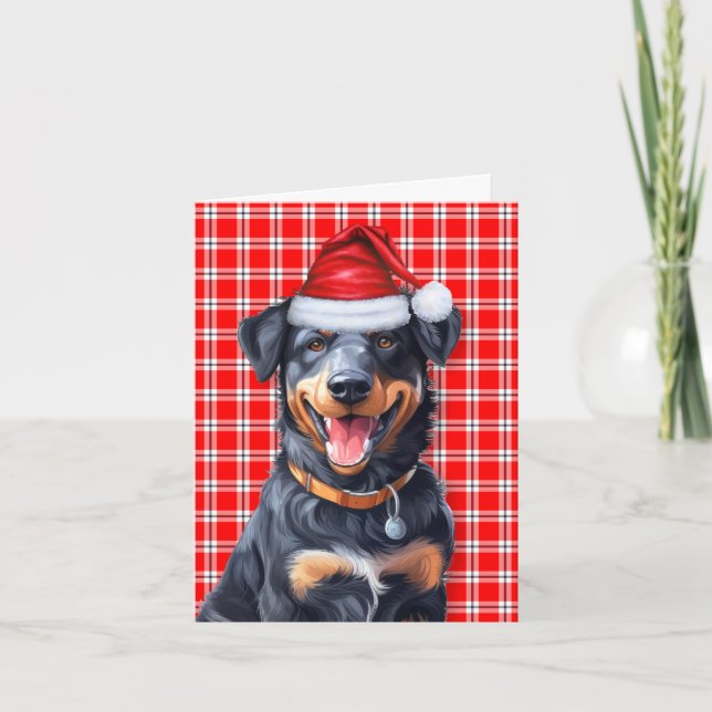 Beauceron Christmas Dog Karierte Weihnachten (Vorderseite)