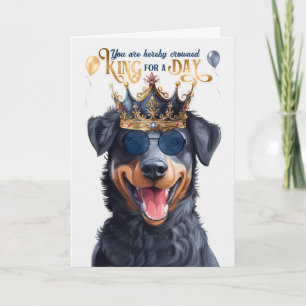 Beauceron Dog King for Day Funny Birthday Karte