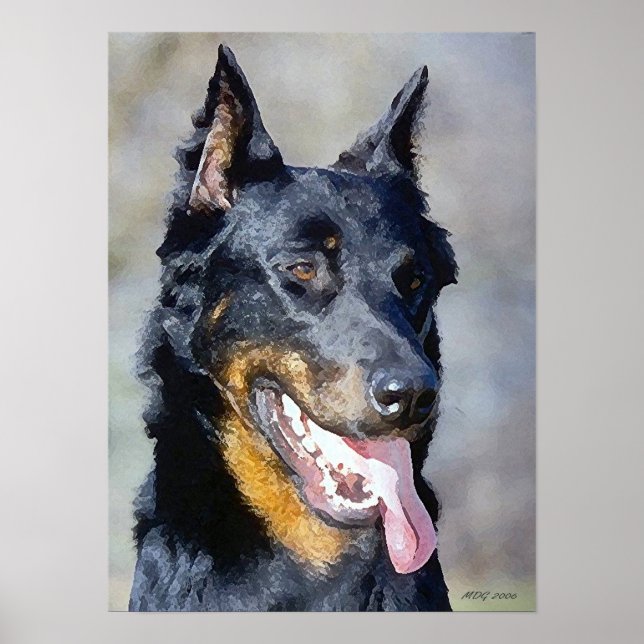 Beauceron Dog Portrait Poster Print (Vorne)