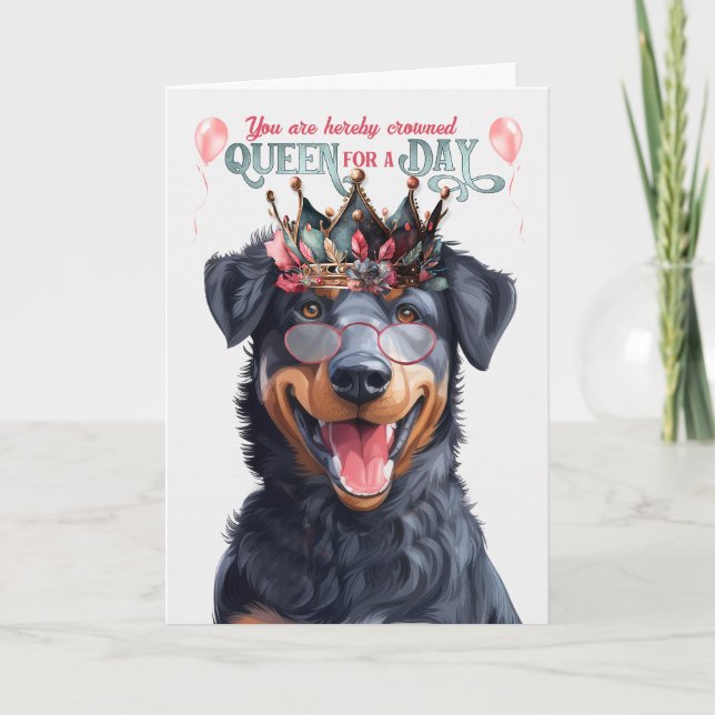 Beauceron Dog Queen for Day Funny Birthday Karte (Vorderseite)