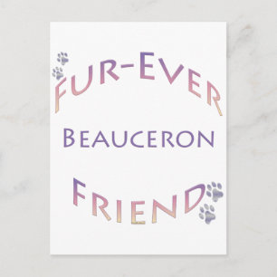 Beauceron Furever Postkarte