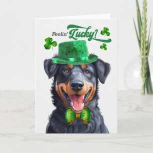 Beauceron Hund fühlt sich am St. Patrick's Day glü Feiertagskarte