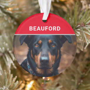 Beauceron mit dem Namen des Hundes und dem Foto We Ornament