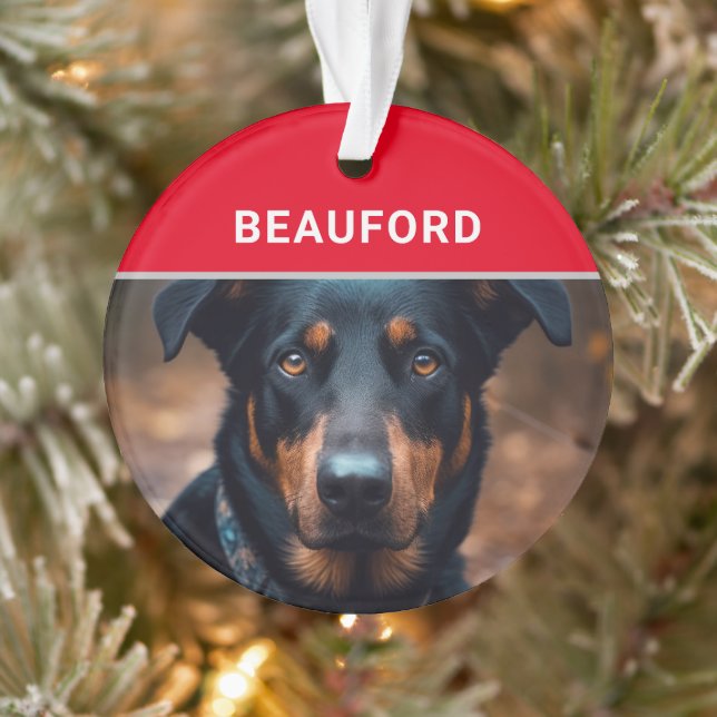 Beauceron mit dem Namen des Hundes und dem Foto We Ornament (Baum)