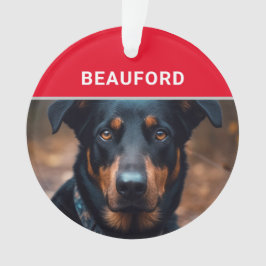 Beauceron mit dem Namen des Hundes und dem Foto We Ornament