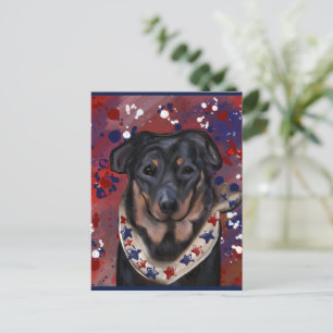 Beauceron Postkarte
