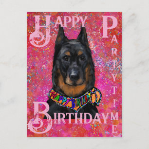 Beauceron Postkarte