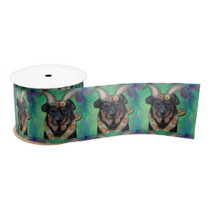 Beauceron Satinband