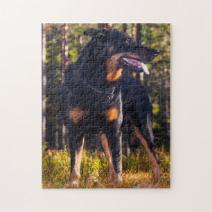 Beauceron Shepherd Dog. Puzzle