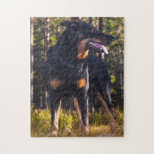 Beauceron Shepherd Dog. Puzzle (Vertikal)