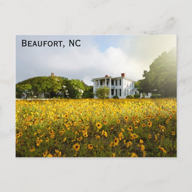 Beaufort North Carolina Historic Zuhause Travel Postkarte (Vorderseite)