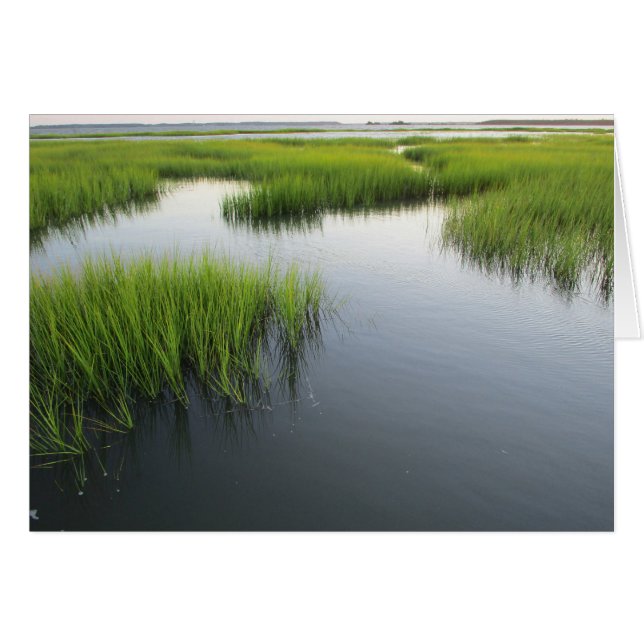 Beauforts Hinterhof (Vorderseite (Horizontal))