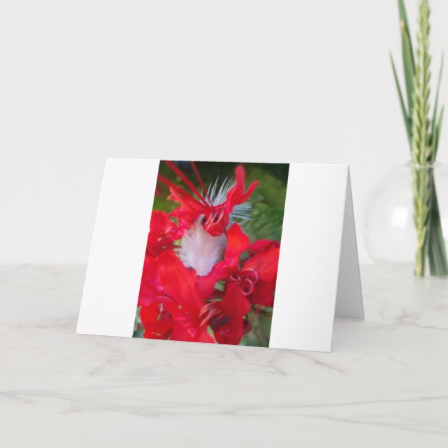 Beautiful Alien Crimson.jpg Karte (Vorderseite)