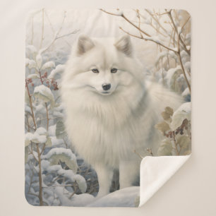 Beautiful American Eskimo Dog Sherpadecke