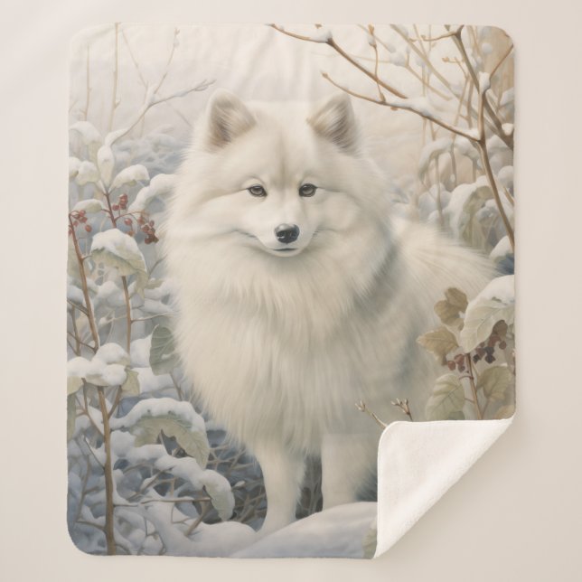 Beautiful American Eskimo Dog Sherpadecke (Vorderseite)