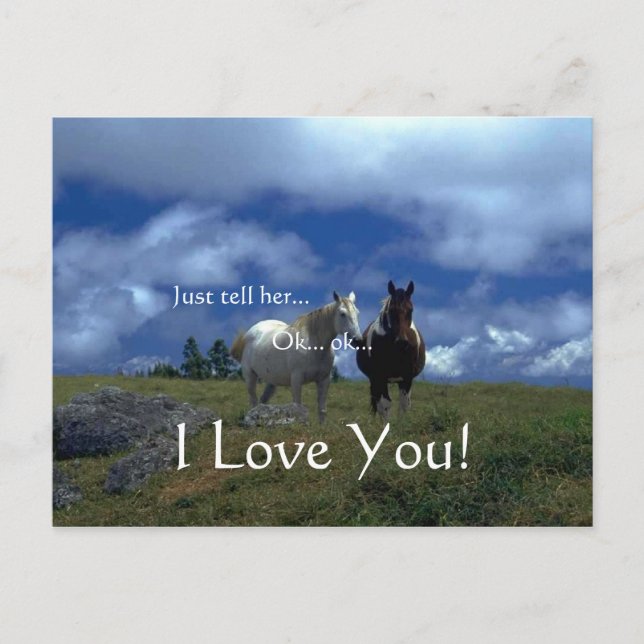 Beautiful Animal Cards Feiertagspostkarte (Vorderseite)