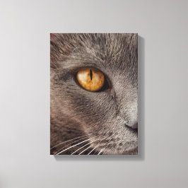 Beautiful Animal Face Canvas Print Leinwanddruck