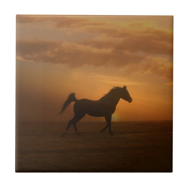 Beautiful Arabian Sunset Art Collection Fliese (Vorderseite)