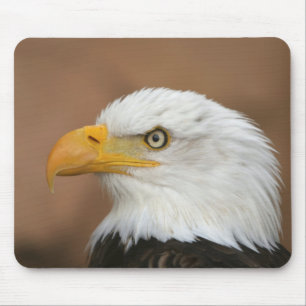 Beautiful Bald Eagle Mousepad