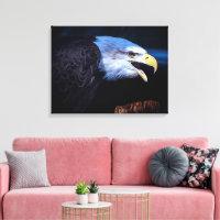 Beautiful Bald Eagle on Rock