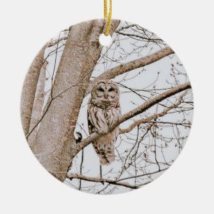 Beautiful Barred Owl Audubon Weihnachten Keramik Ornament