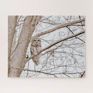 Beautiful Barred Owl Michigan Woods Audubon Puzzle