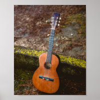 Beautiful Bass Guitar