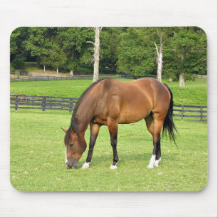 beautiful bay horse mousepad