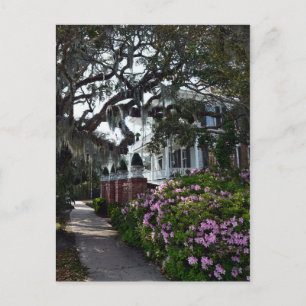 Beautiful Beaufort, South Carolina Postkarte