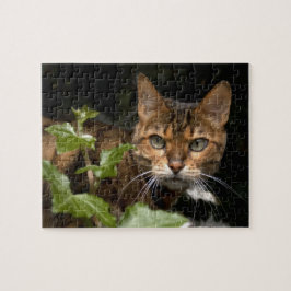 Beautiful Bengal Cat Puzzle