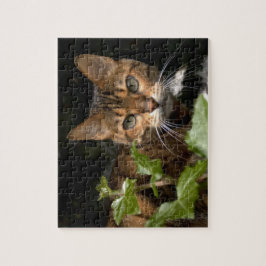 Beautiful Bengal Cat Puzzle