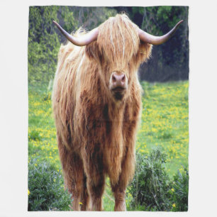 Beautiful Bison Fleecedecke