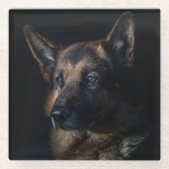 Beautiful Black and Tan German Shepherd Glasuntersetzer (Vorderseite)