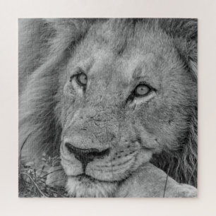 Beautiful Black and White Lion Face Puzzle