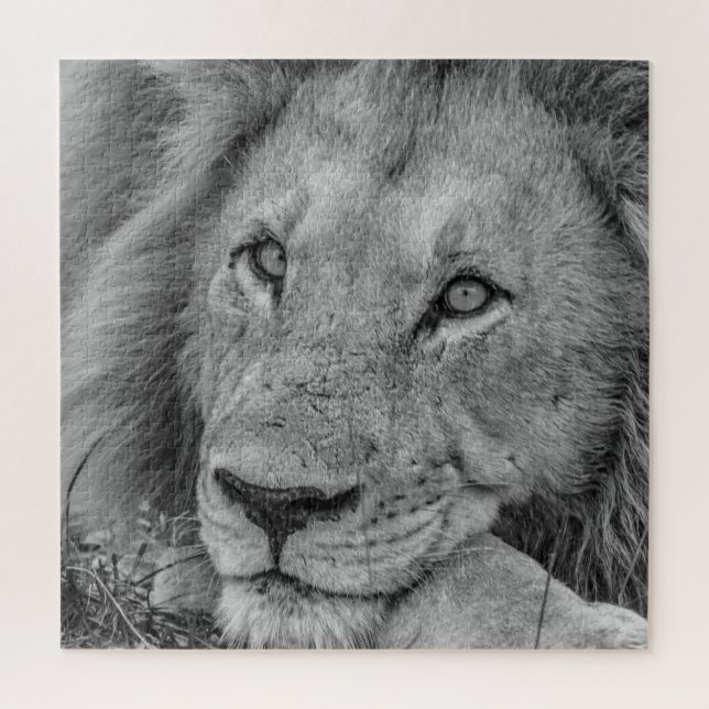Beautiful Black and White Lion Face Puzzle (Vertikal)