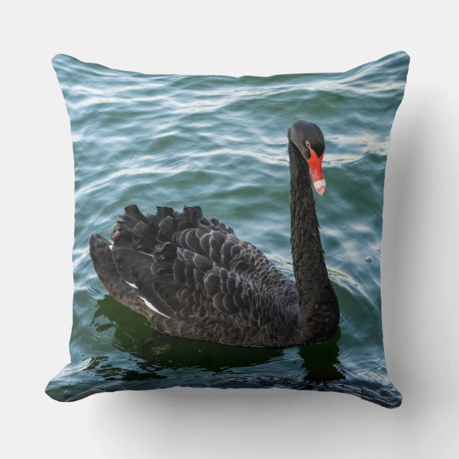 Beautiful Black Swan Kissen (Vorderseite)