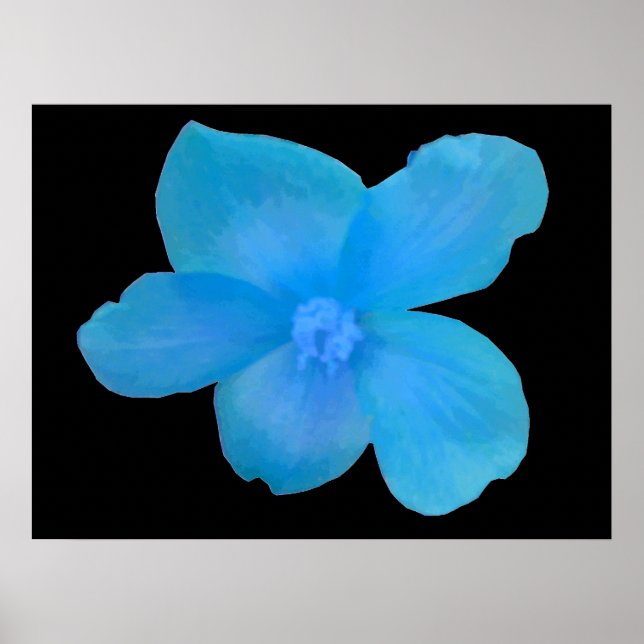 Beautiful Blue Begonia Blumen Print Poster (Vorne)