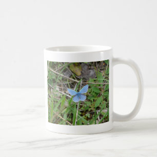 Beautiful Blue Butterfly Tasse