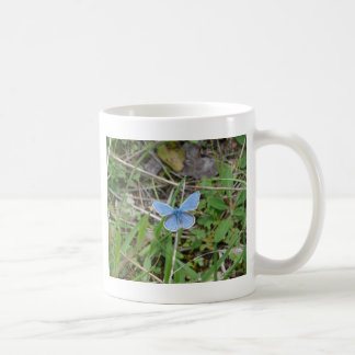 Beautiful Blue Butterfly Tasse