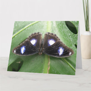 Beautiful Blue Gepunktet Butterfly Grußkarte Karte