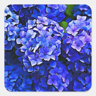 Beautiful Blue Hydrangea Blume Stickers