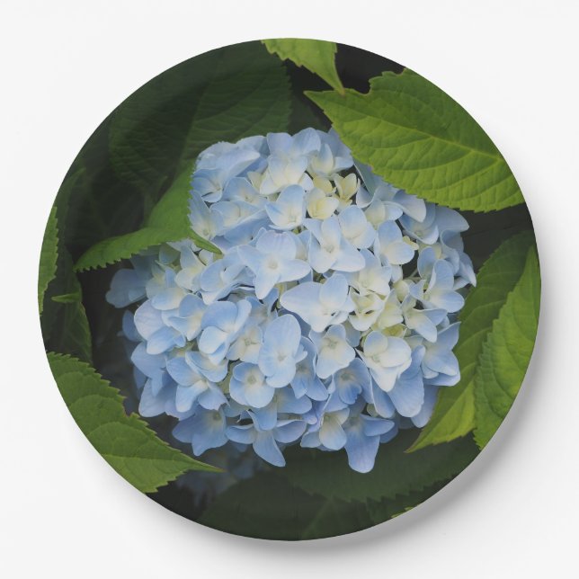 Beautiful Blue Hydrangea Floral Foto Pappteller (Vorderseite)