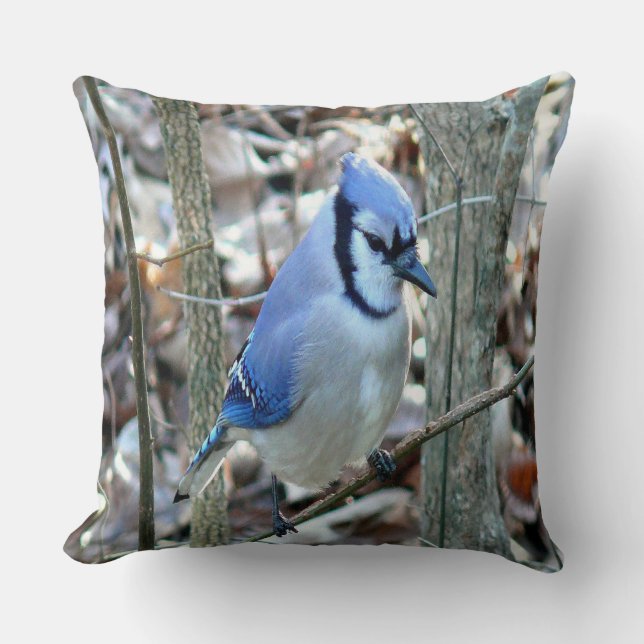 Beautiful Blue Jay Kissen (Vorderseite)