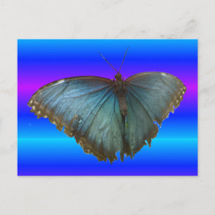 Beautiful Blue Morpho Butterfly DIY Postcard Postkarte